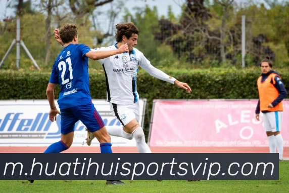 华体会体育平台生态图